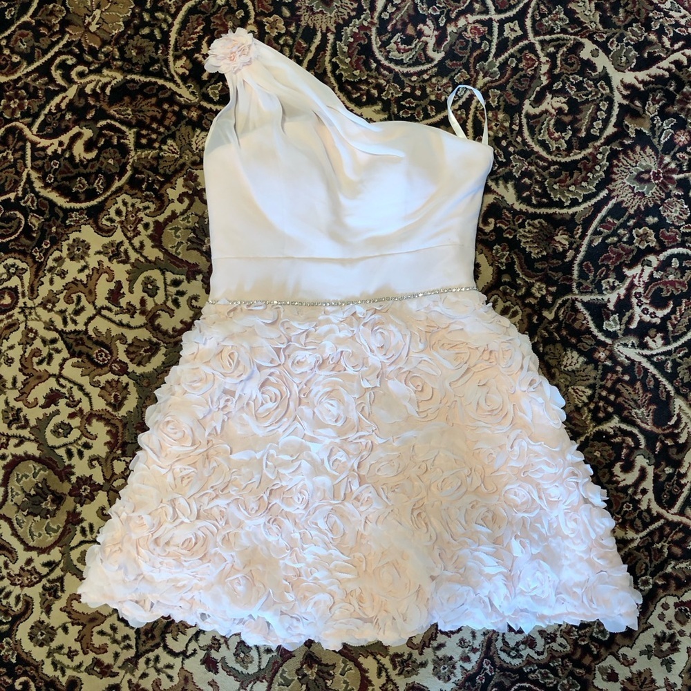 Blush pink Fit and Flare formal prom Dress with One Shoulder
